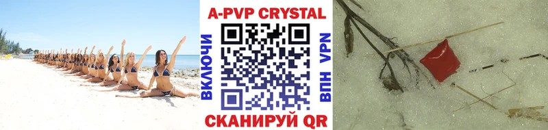 Купить  Чегем  Alfa_PVP мука 