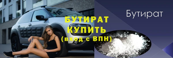 прущие грибы Бородино