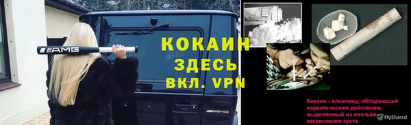 mix Верея