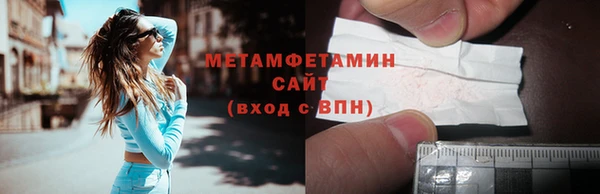 прущие грибы Бородино