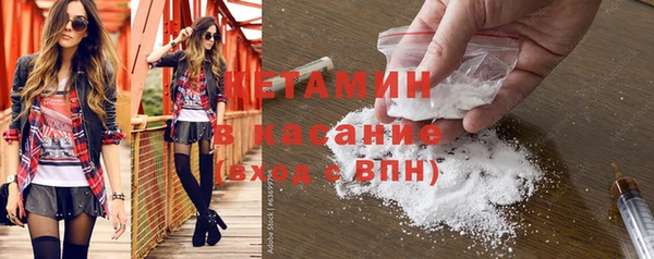 прущие грибы Бородино