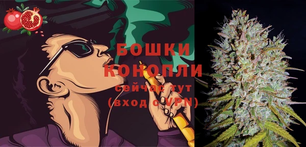 прущие грибы Бородино