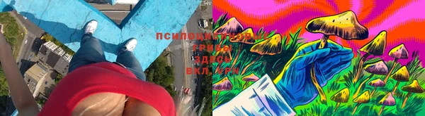 эйфоретик Бугульма
